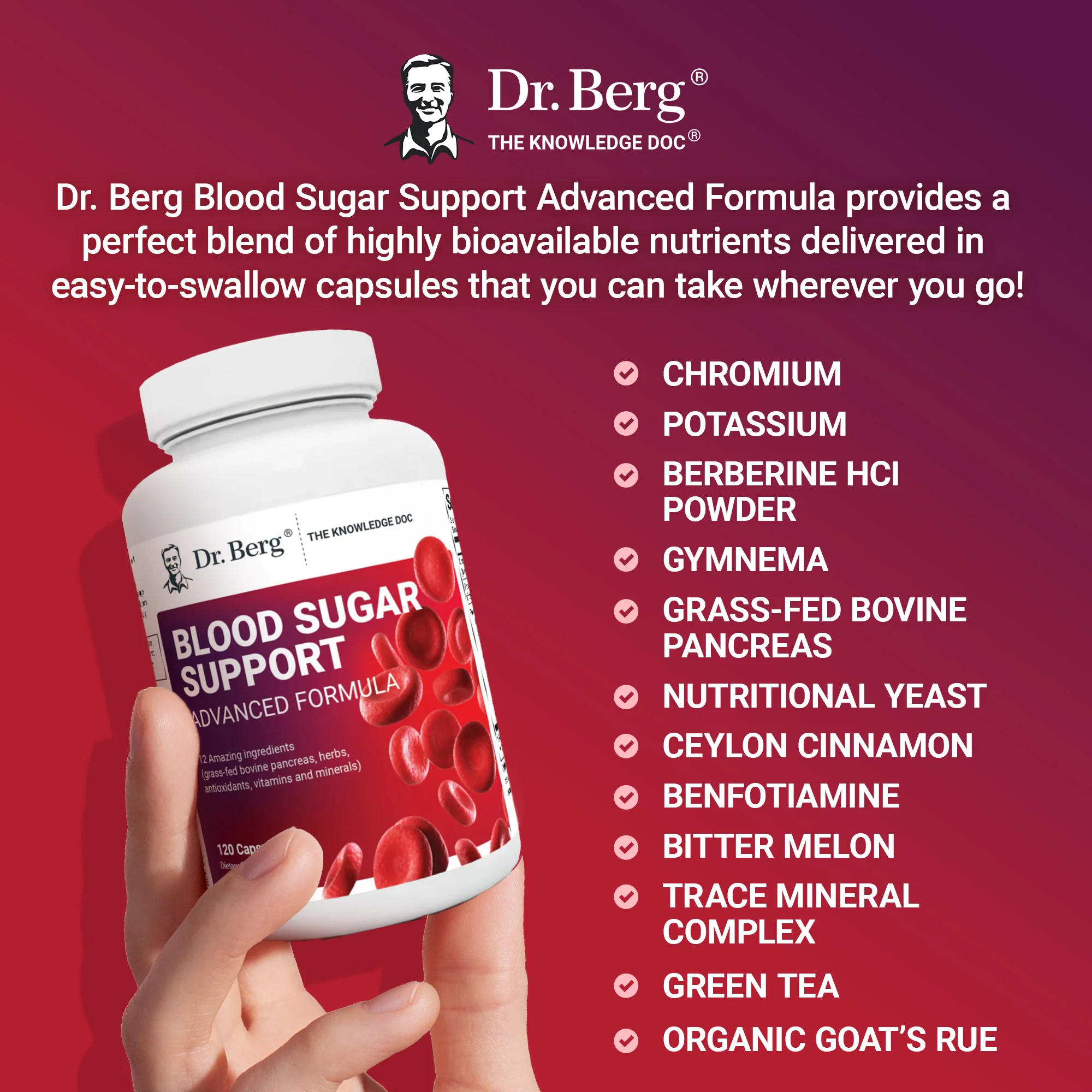 Dr. Berg Blood Sugar Support Advanced Formula In Pakistan