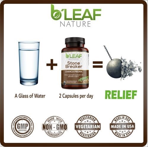 B'leaf Nature Stone Breaker Chanca Piedra 100 Capsules in Pakistan